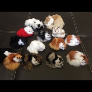 Cat collection